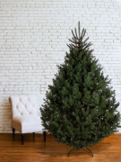 Искусственная сосна Бостиния