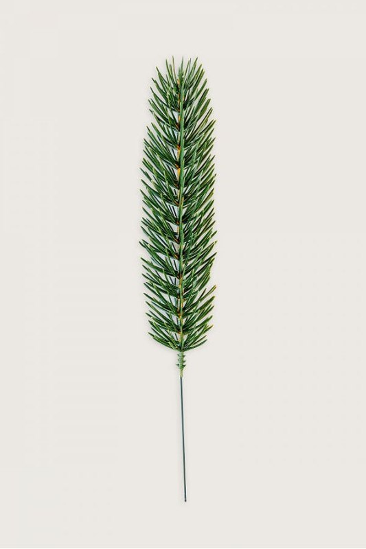 Купить Ветка еловая литая - цвета зеленой спаржи
