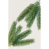 Купить Ветка еловая литая - цвета зеленой спаржи фото 1