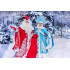 Купить Деда Мороз на улицу фото 2