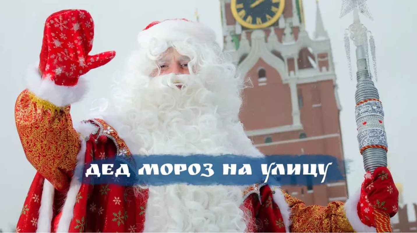 Купить Деда Мороз на улицу