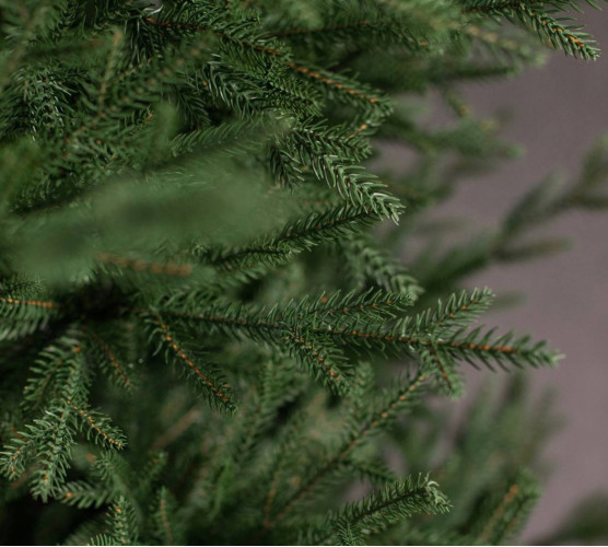 Рейтинг самых популярных ёлок 2025 года 