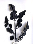 Ветка эвкалипта 70 см